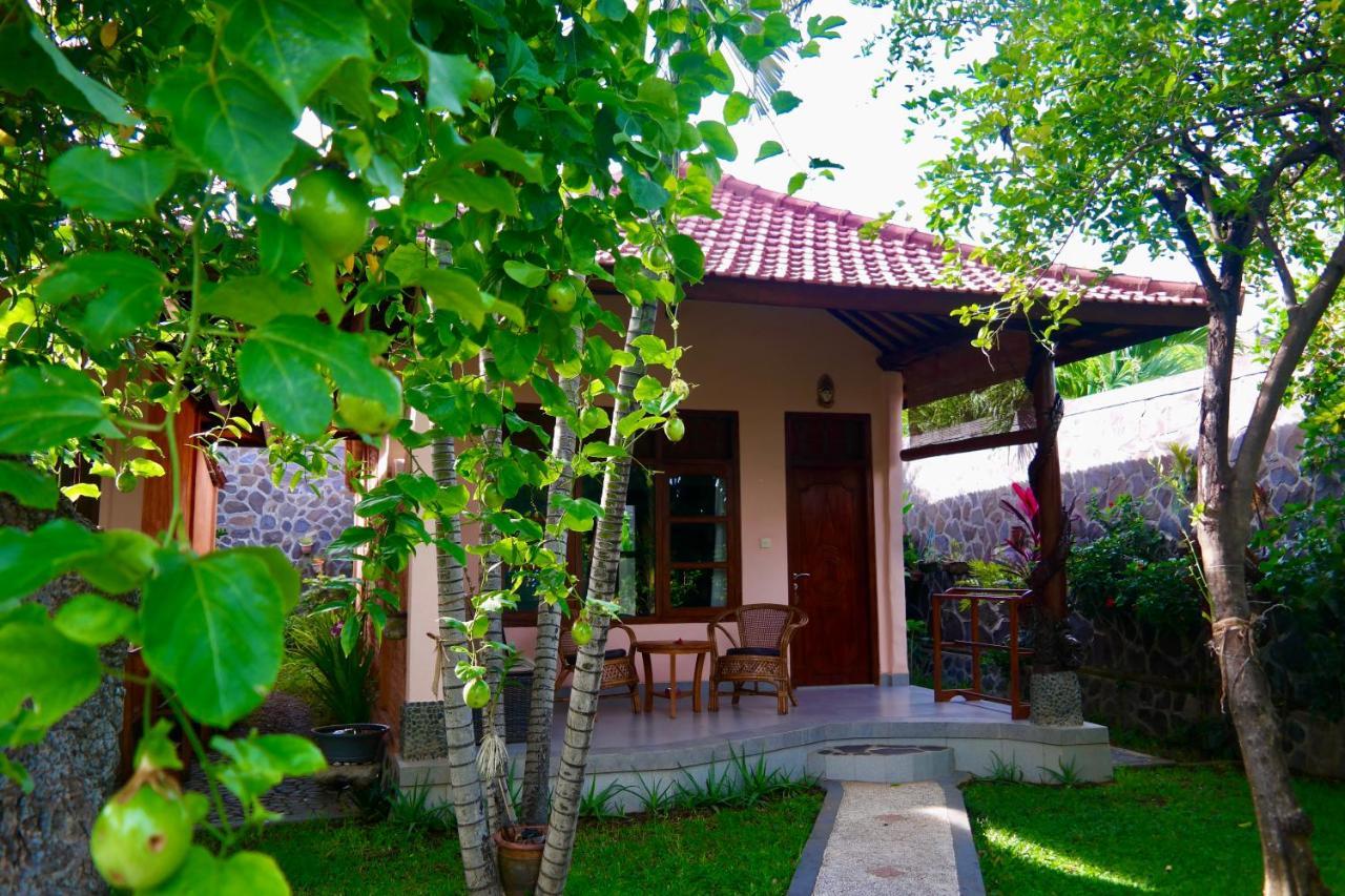 1000 Dream Bungalow Ловина Экстерьер фото